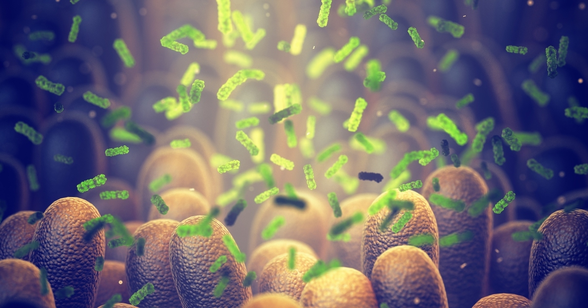 Altered microbiome after antibiotics in early life shown to impact lifespan