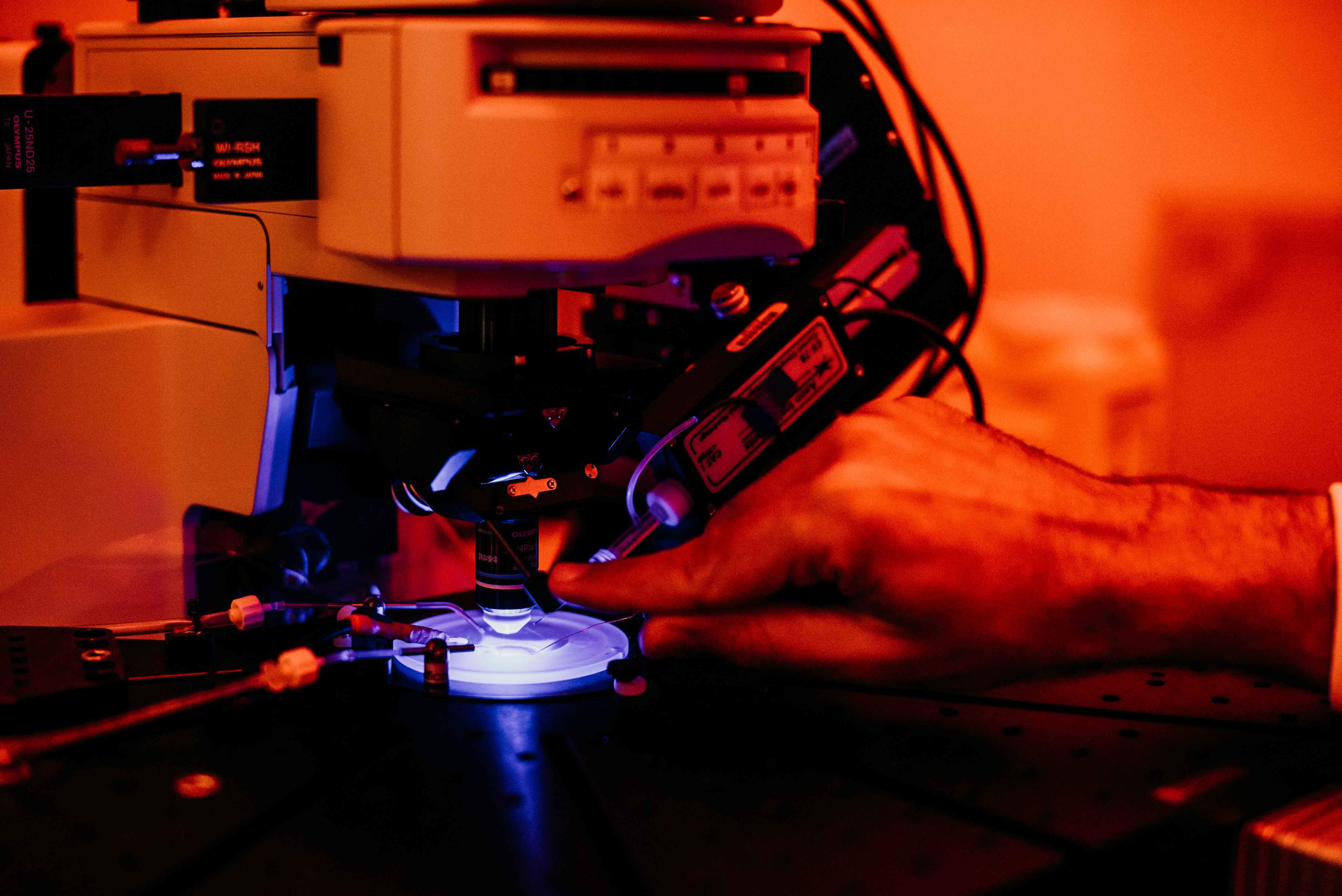 Visceral Pain Research Group