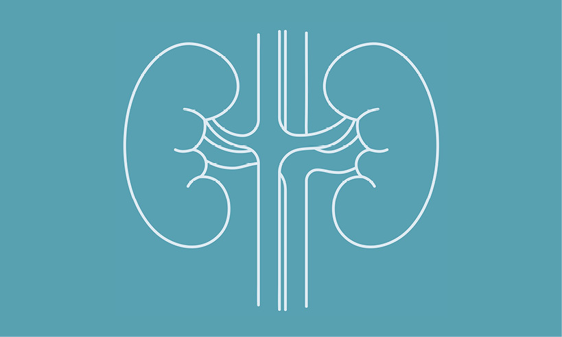Kidney Health Registry