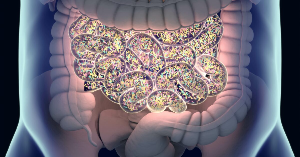 SAHMRI | Unravelling the role of the gut microbiome in cancer therapy