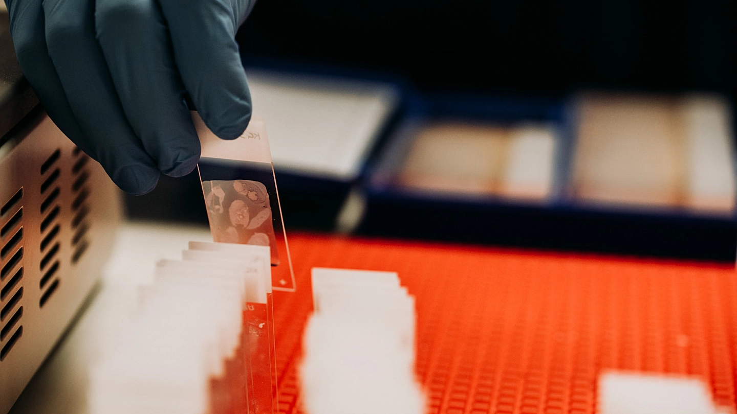 Great news for clinical trials in South Australia