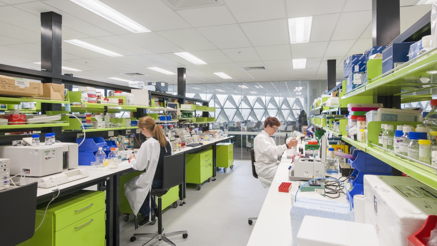 SAHMRI | Mesenchymal Stem Cell Laboratory