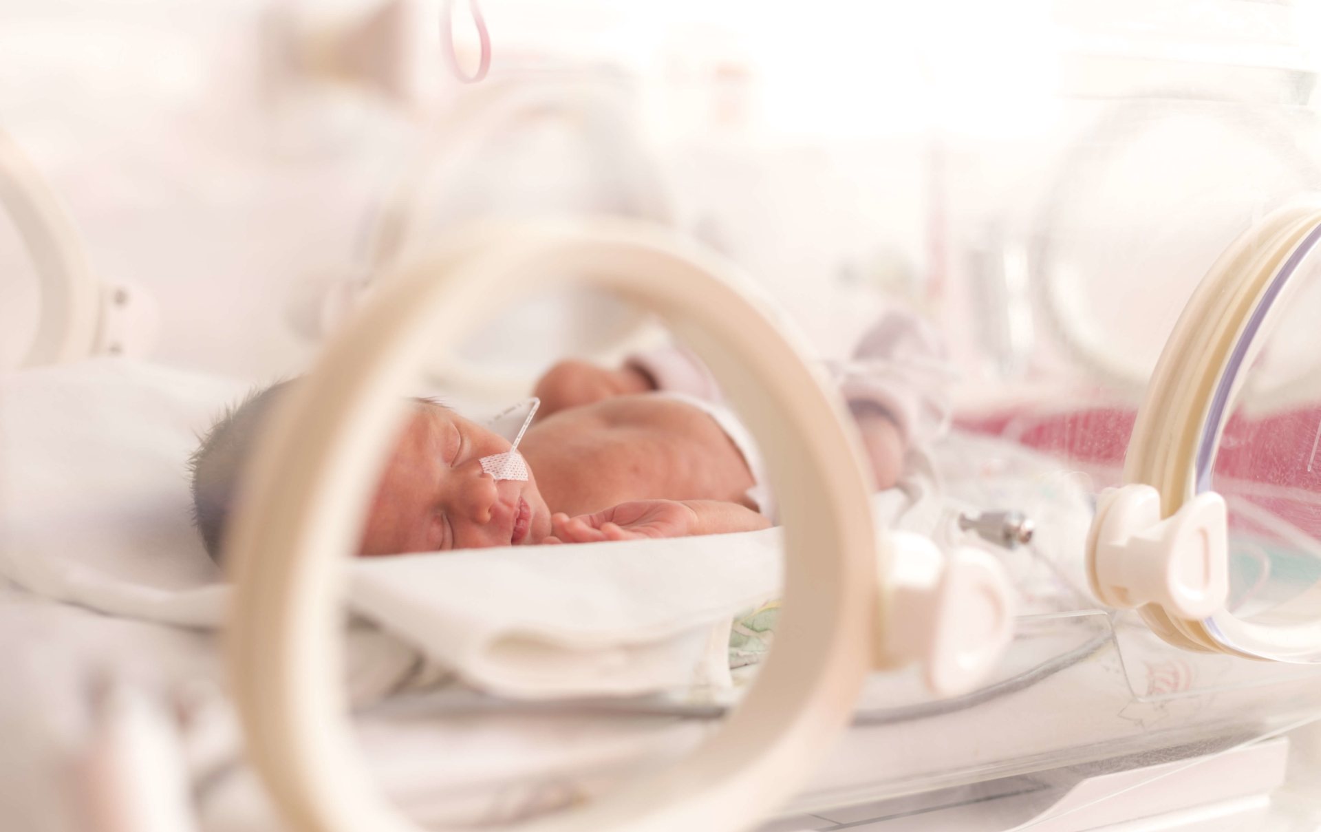 Omega-3 status test for prematurity risk