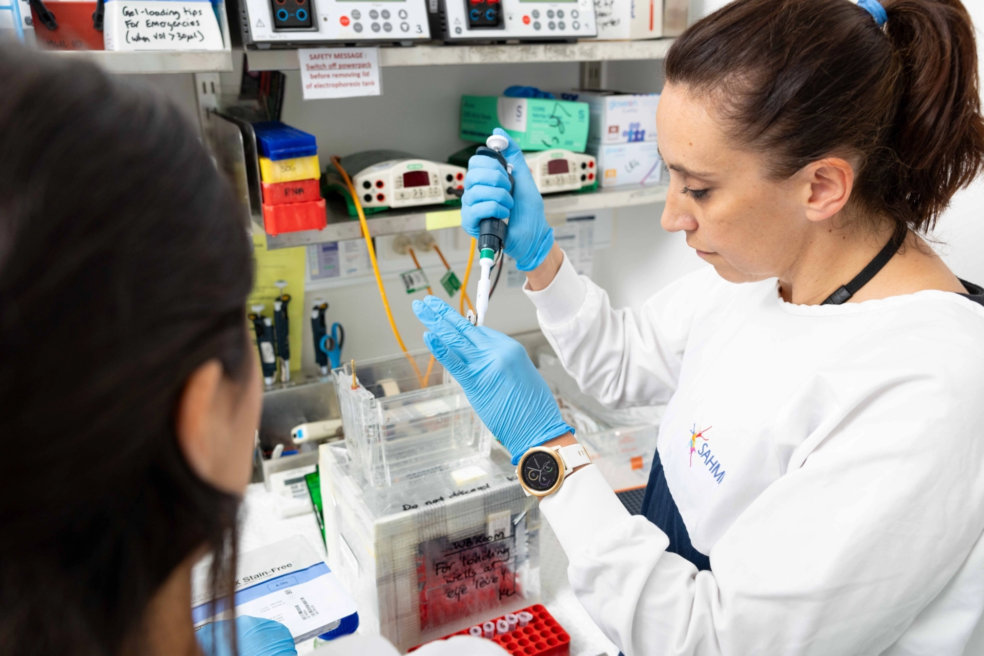 Spotlight on SAHMRI’s world-leading blood cancer research