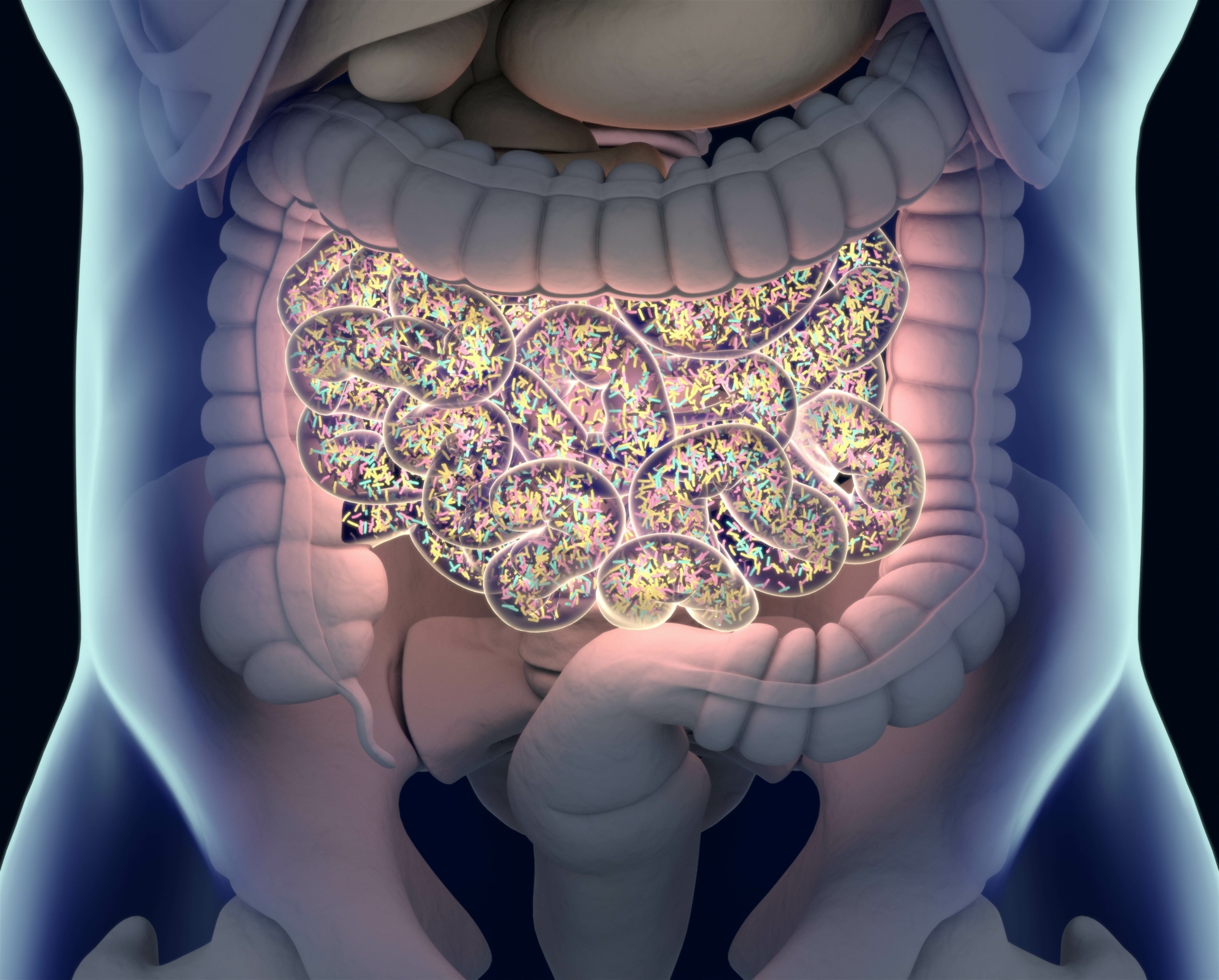 Unravelling the role of the gut microbiome in cancer therapy