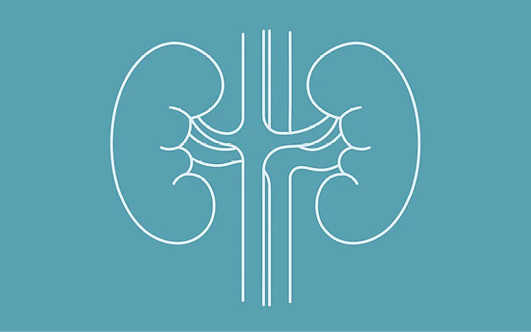 Kidney Health Registry