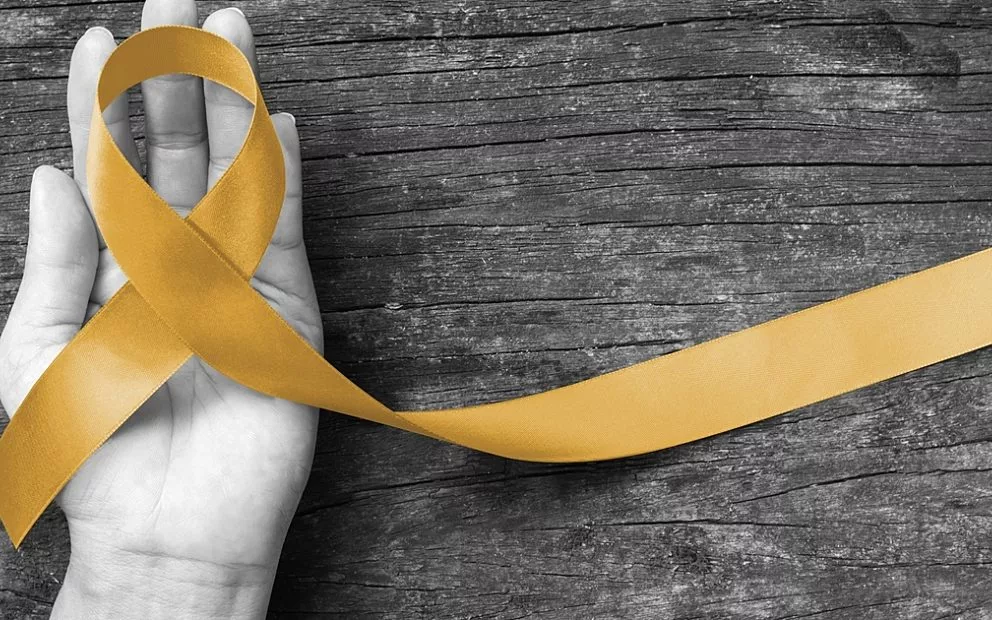 Springboard for pioneering cancer research in SA