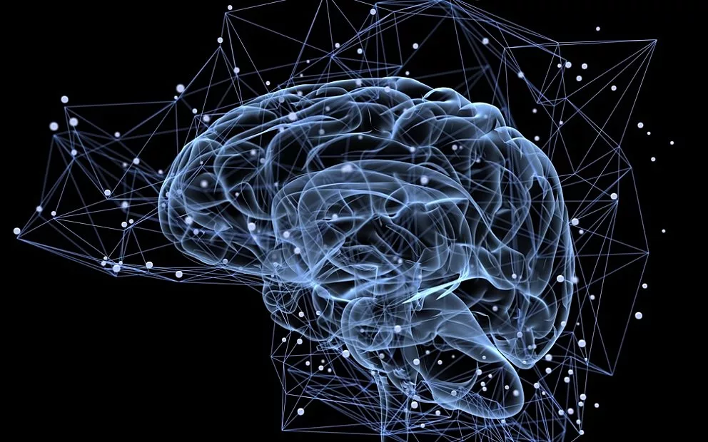 SAHMRI announces inaugural Bellberry Mind and Brain Research Fellow