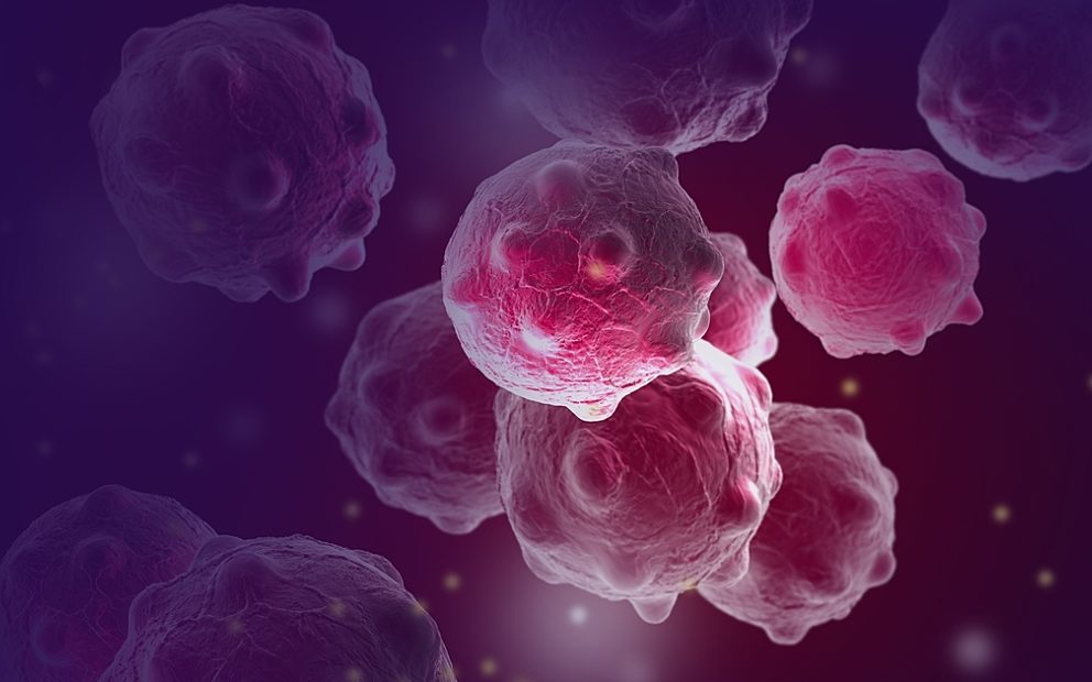 Live tumour testing provides short cut to cancer drug development