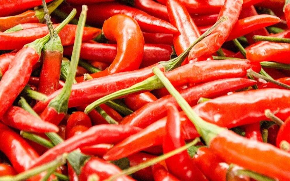 Hot chilli may unlock a new treatment for obesity