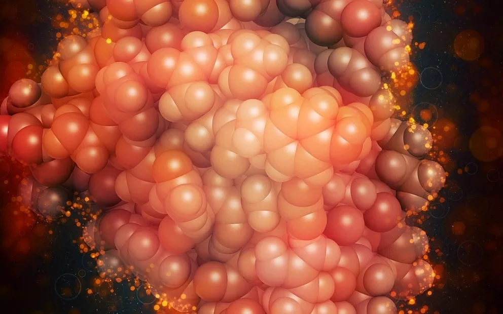 SAHMRI researchers find the genes that make us fat, prompting hope for Type 2 diabetes