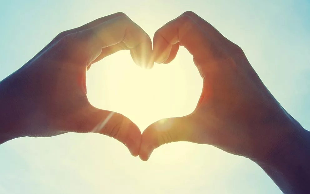 Cholesterol lowering drug reverses build up of coronary plaque