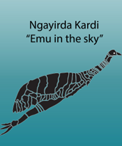 Emu in the sky