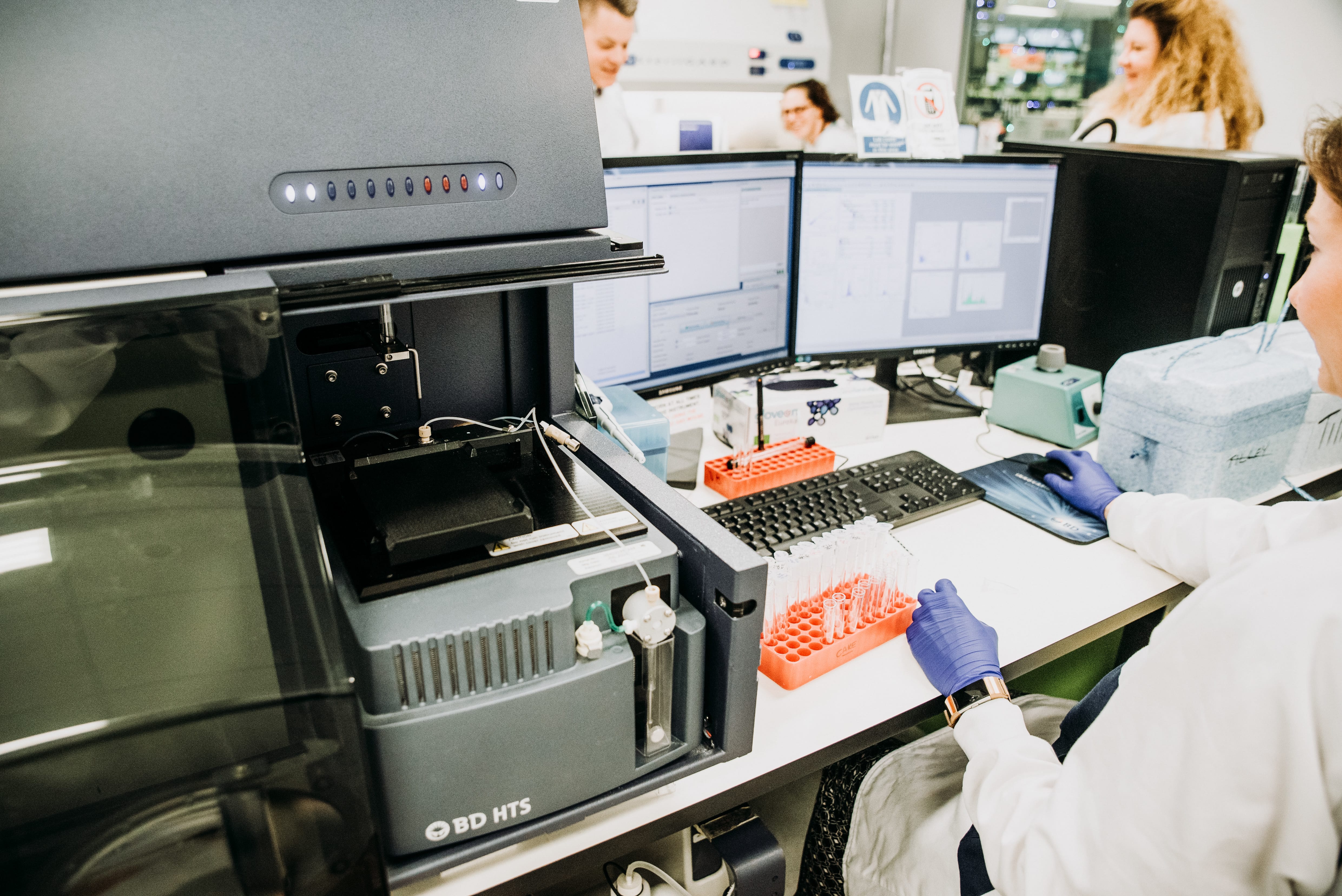 Graft Versus Leukaemia and Immunotherapy Group