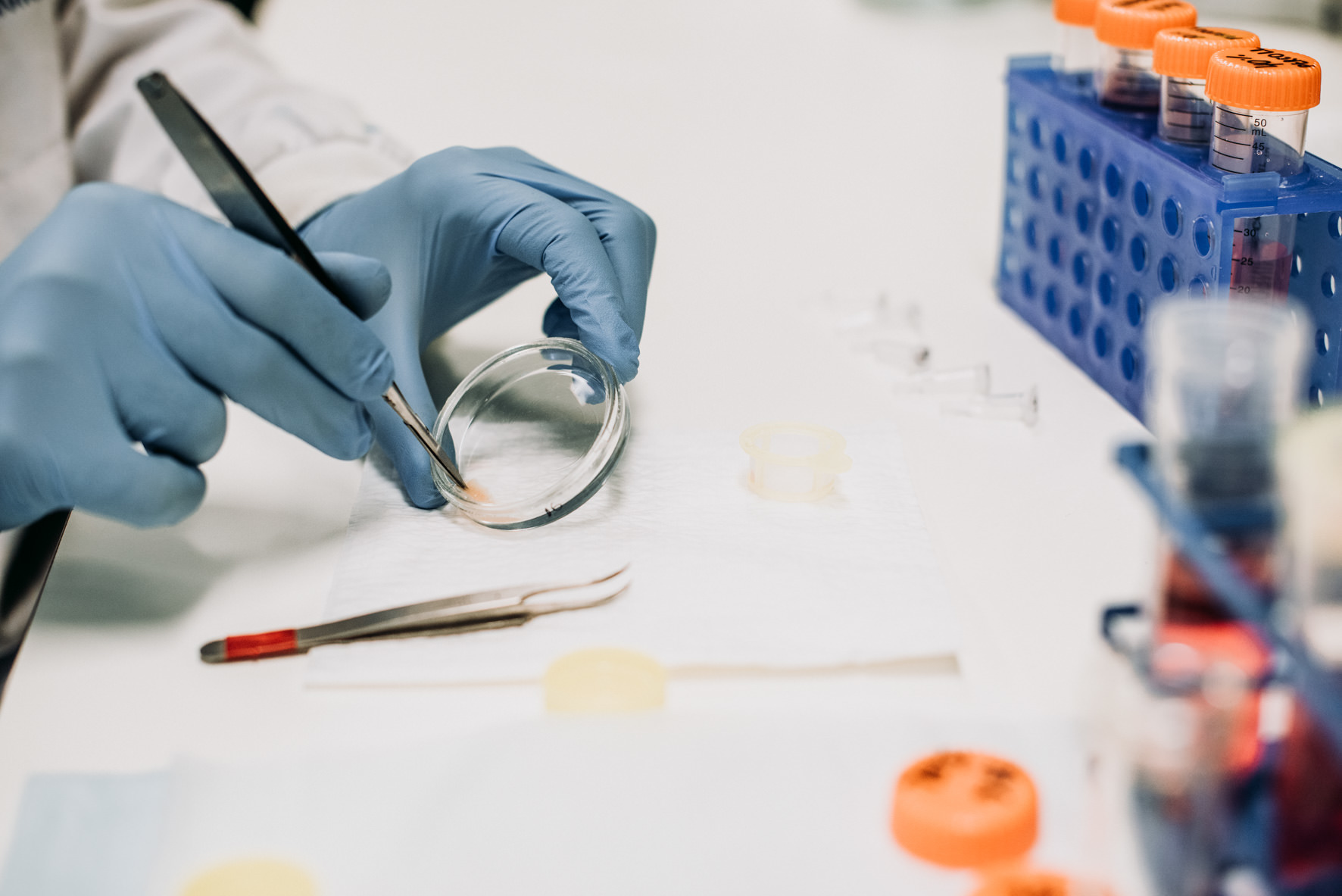 Laboratory For Human Neurophysiology And Genetics