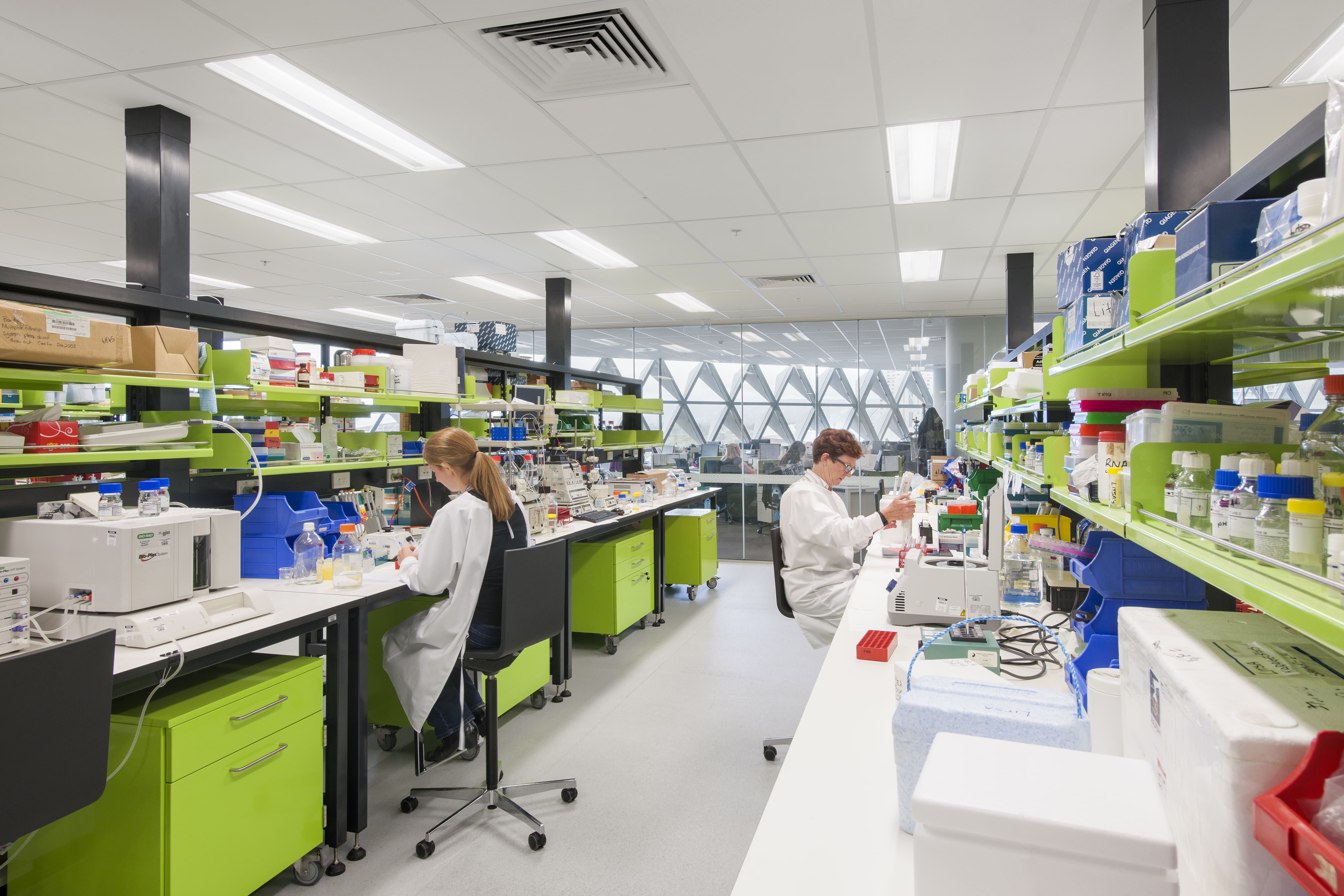Mesenchymal Stem Cell Laboratory