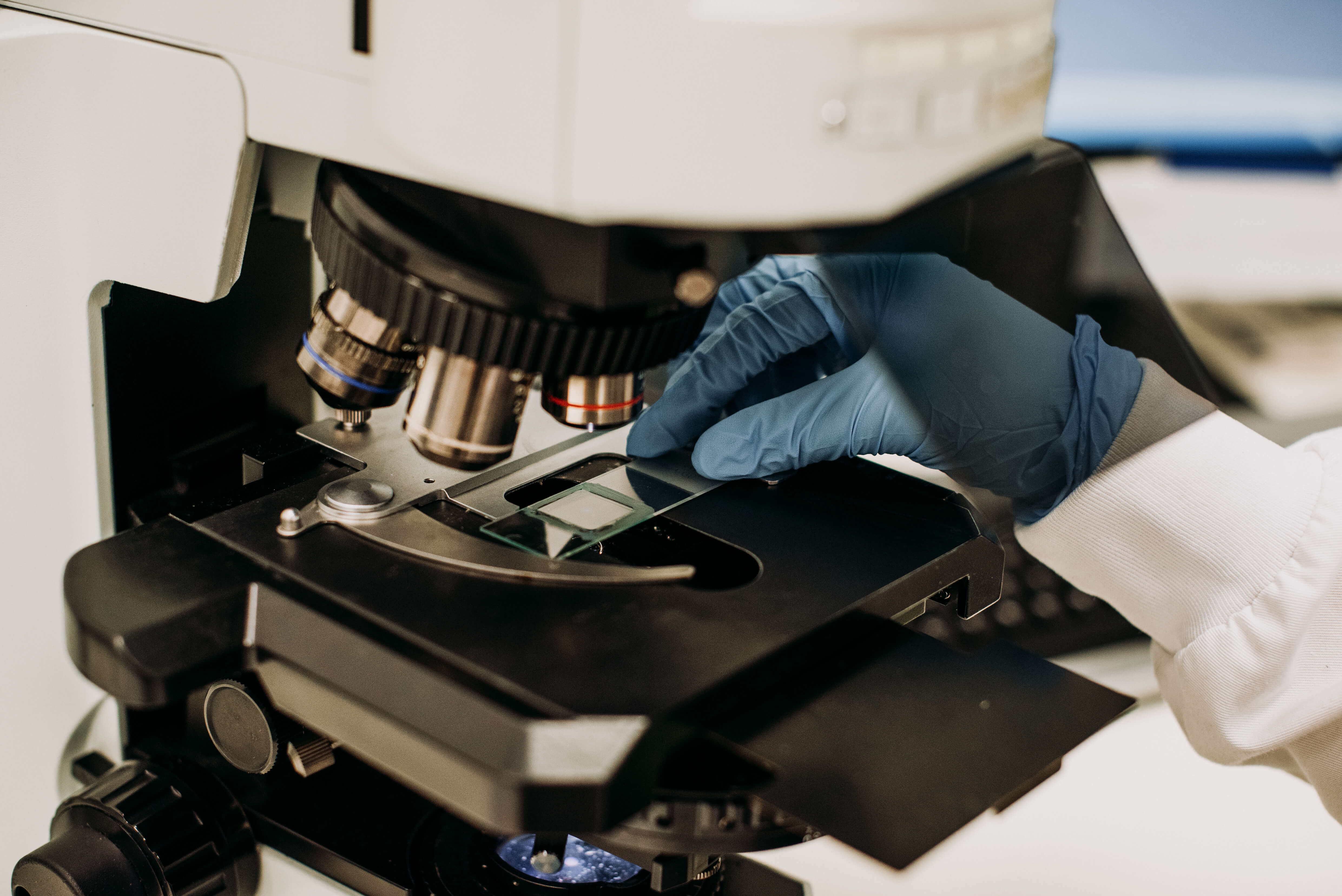 Healthy Microbiome and Chronic Disease